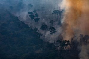 NASA Live Map Shows it is Not Just The Amazon, But Central Africa is Burning Too