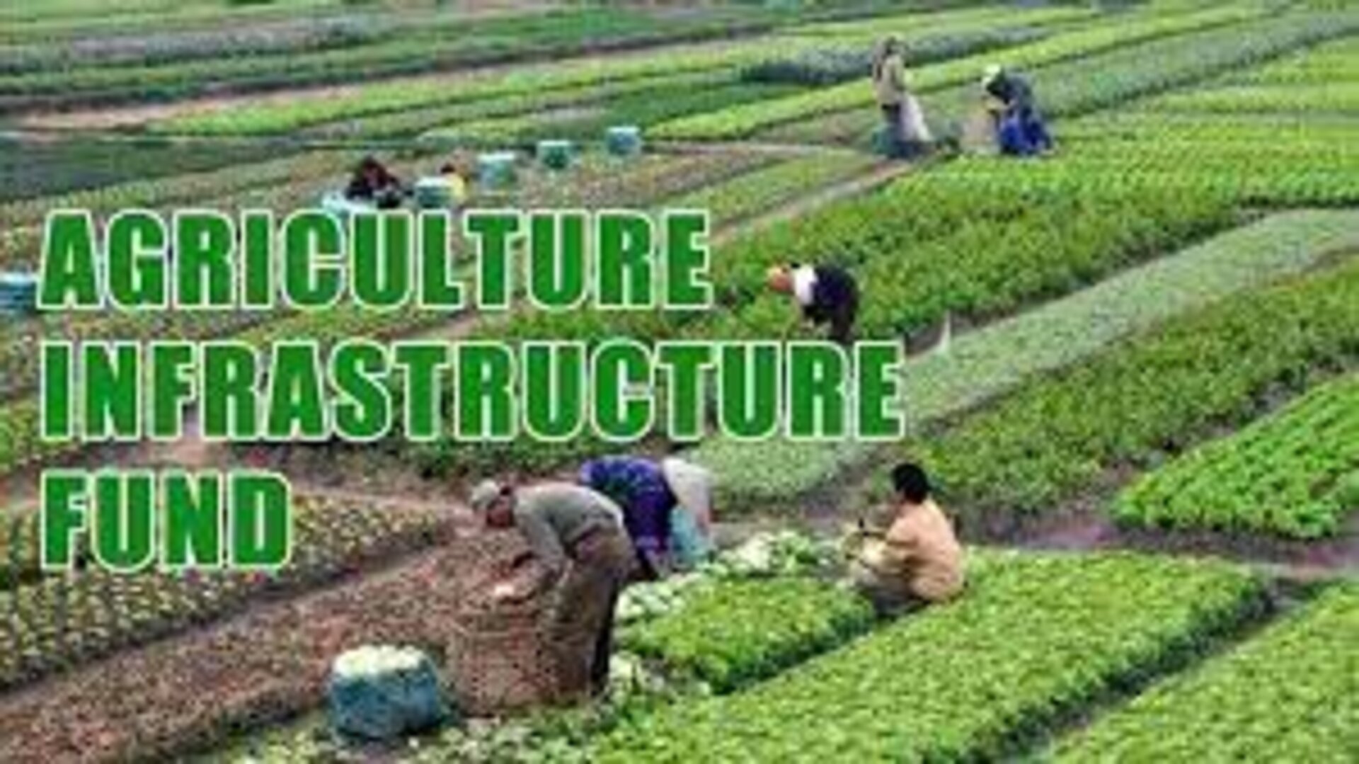 Agriculture Infrastructure Fund disbursement chart showing growth